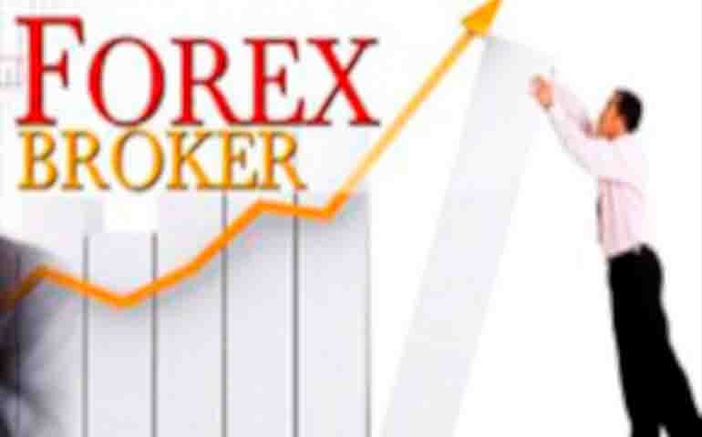 Reviews of different ways to make money in the forex market, with the help of brokers.