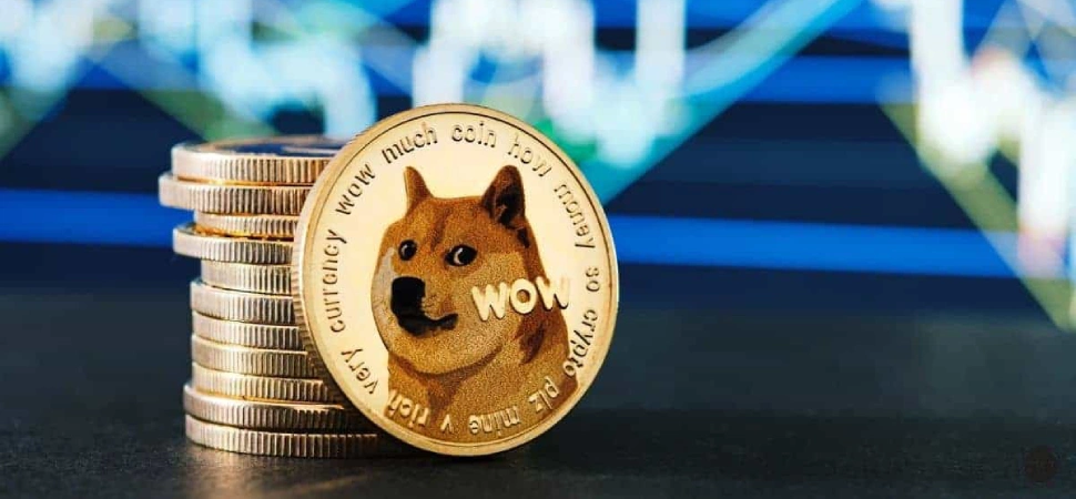 Dogecoin: From meme to market leader - a 2025 perspective